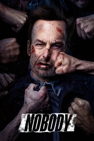 Nobody (2021) Hindi Dual Audio – –