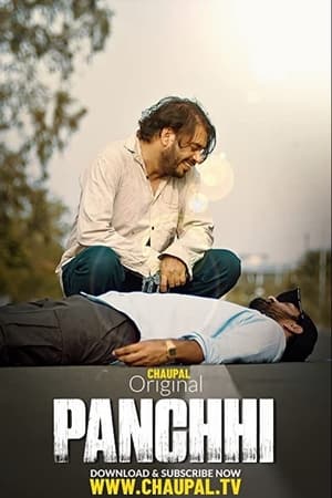 Panchhi 2021 Punjabi Movie – [300MB]