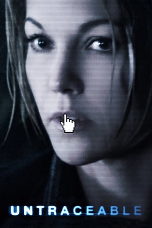 Untraceable (2008) Hindi Dual Audio 300MB